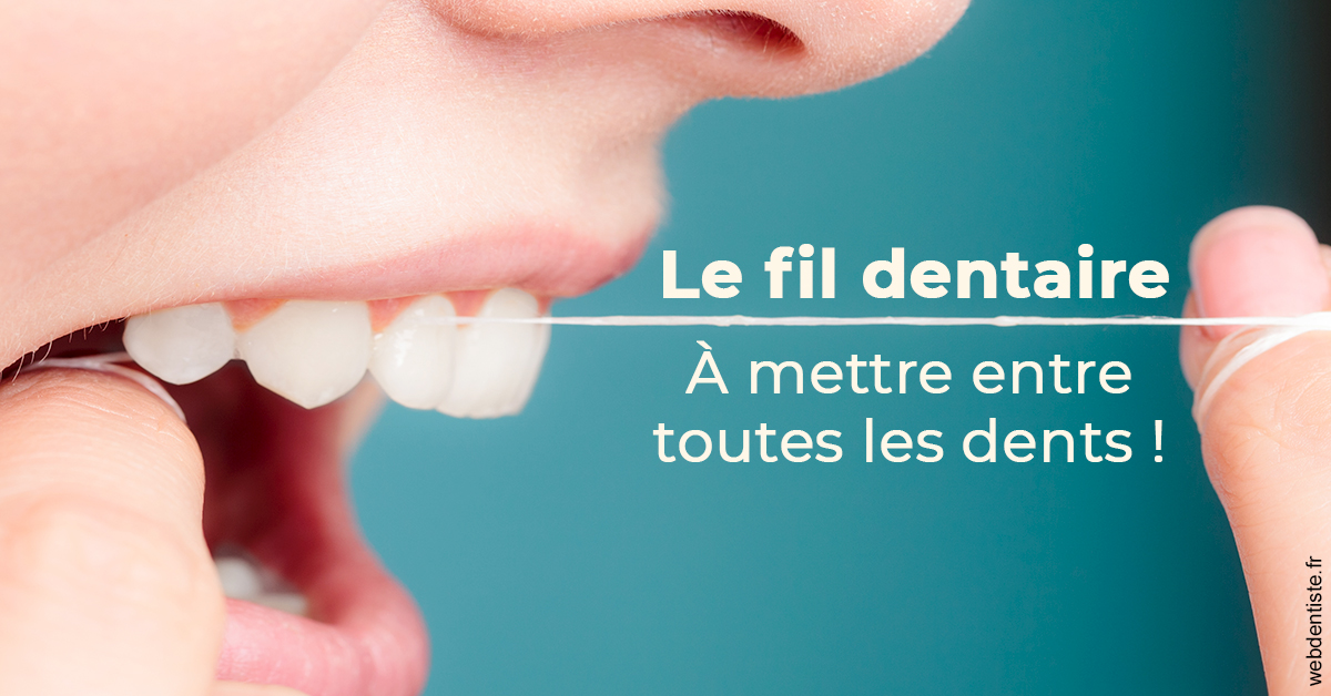 https://selarl-thierry-blanchot.chirurgiens-dentistes.fr/Le fil dentaire 2